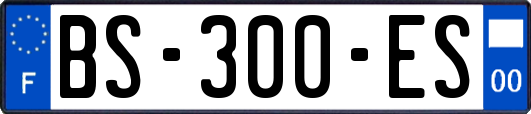 BS-300-ES