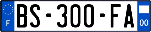 BS-300-FA