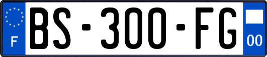 BS-300-FG