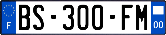 BS-300-FM