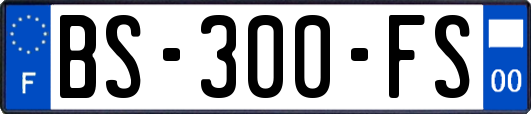 BS-300-FS