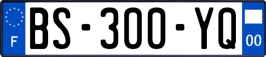 BS-300-YQ