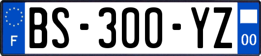 BS-300-YZ