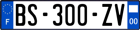BS-300-ZV