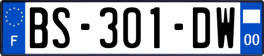 BS-301-DW