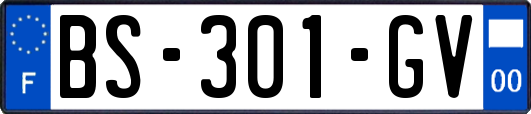 BS-301-GV