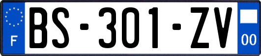 BS-301-ZV