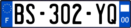BS-302-YQ