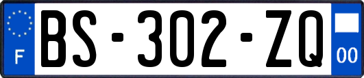 BS-302-ZQ