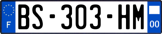 BS-303-HM