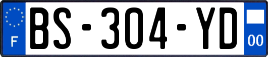 BS-304-YD