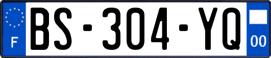 BS-304-YQ