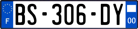 BS-306-DY