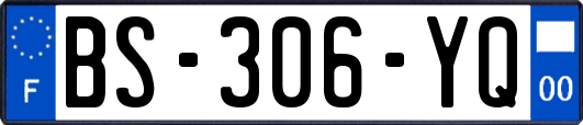 BS-306-YQ
