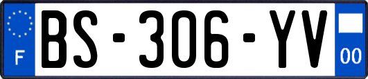 BS-306-YV