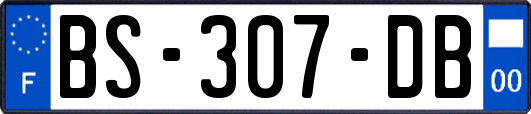 BS-307-DB