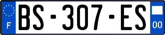 BS-307-ES