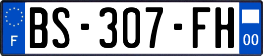 BS-307-FH