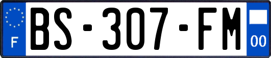 BS-307-FM