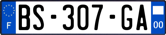 BS-307-GA