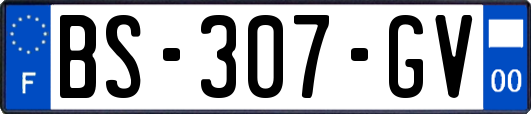 BS-307-GV