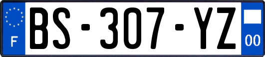 BS-307-YZ