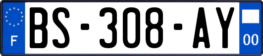 BS-308-AY