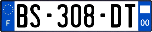 BS-308-DT