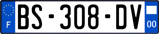 BS-308-DV