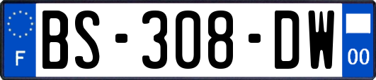 BS-308-DW