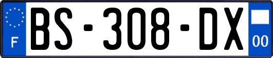 BS-308-DX