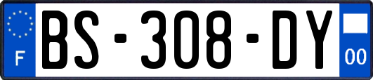 BS-308-DY