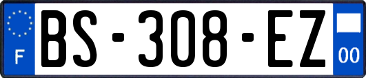 BS-308-EZ