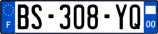 BS-308-YQ