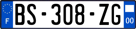 BS-308-ZG