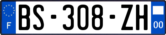 BS-308-ZH