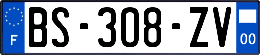 BS-308-ZV