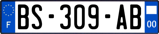 BS-309-AB