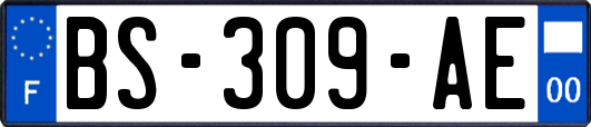 BS-309-AE