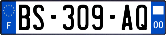 BS-309-AQ