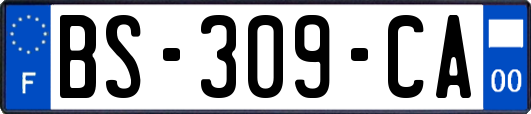 BS-309-CA