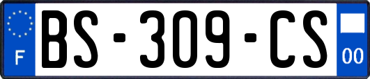 BS-309-CS