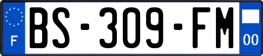 BS-309-FM