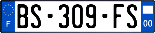 BS-309-FS