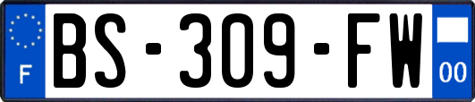 BS-309-FW