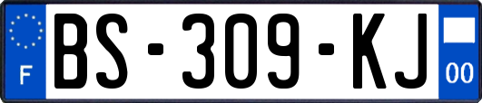 BS-309-KJ