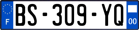 BS-309-YQ