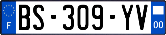 BS-309-YV