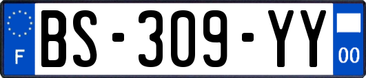 BS-309-YY