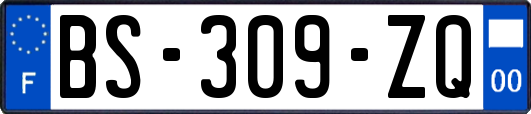 BS-309-ZQ